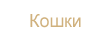 Кошки